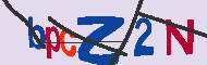 キャプチャ(CAPTCHA)認証コード