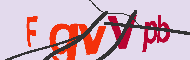 キャプチャ(CAPTCHA)認証コード