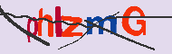 キャプチャ(CAPTCHA)認証コード