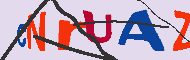 キャプチャ(CAPTCHA)認証コード