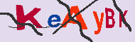 キャプチャ(CAPTCHA)認証コード