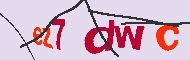 キャプチャ(CAPTCHA)認証コード