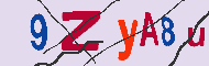 キャプチャ(CAPTCHA)認証コード