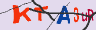 キャプチャ(CAPTCHA)認証コード