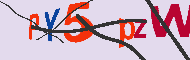 キャプチャ(CAPTCHA)認証コード