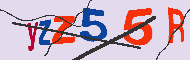 キャプチャ(CAPTCHA)認証コード