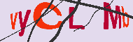 キャプチャ(CAPTCHA)認証コード