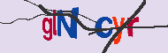 キャプチャ(CAPTCHA)認証コード