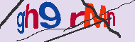 キャプチャ(CAPTCHA)認証コード