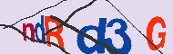 キャプチャ(CAPTCHA)認証コード