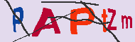 キャプチャ(CAPTCHA)認証コード