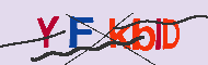 キャプチャ(CAPTCHA)認証コード