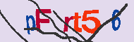 キャプチャ(CAPTCHA)認証コード