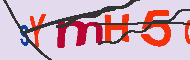 キャプチャ(CAPTCHA)認証コード