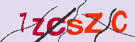 キャプチャ(CAPTCHA)認証コード