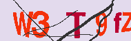 キャプチャ(CAPTCHA)認証コード