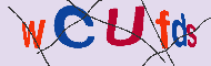 キャプチャ(CAPTCHA)認証コード