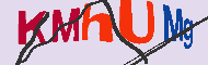 キャプチャ(CAPTCHA)認証コード