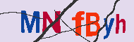 キャプチャ(CAPTCHA)認証コード