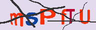 キャプチャ(CAPTCHA)認証コード