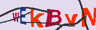 キャプチャ(CAPTCHA)認証コード