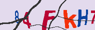 キャプチャ(CAPTCHA)認証コード