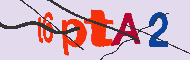 キャプチャ(CAPTCHA)認証コード