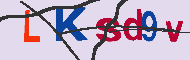 キャプチャ(CAPTCHA)認証コード