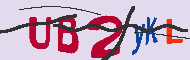 キャプチャ(CAPTCHA)認証コード