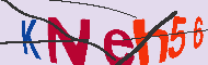 キャプチャ(CAPTCHA)認証コード