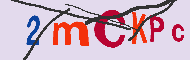 キャプチャ(CAPTCHA)認証コード