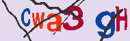 キャプチャ(CAPTCHA)認証コード
