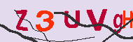 キャプチャ(CAPTCHA)認証コード