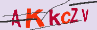 キャプチャ(CAPTCHA)認証コード
