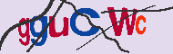 キャプチャ(CAPTCHA)認証コード