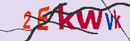 キャプチャ(CAPTCHA)認証コード