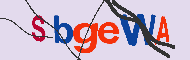 キャプチャ(CAPTCHA)認証コード