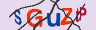 キャプチャ(CAPTCHA)認証コード
