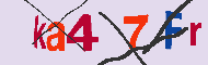 キャプチャ(CAPTCHA)認証コード