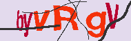 キャプチャ(CAPTCHA)認証コード