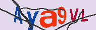 キャプチャ(CAPTCHA)認証コード