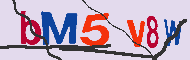 キャプチャ(CAPTCHA)認証コード