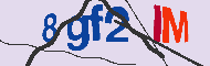 キャプチャ(CAPTCHA)認証コード