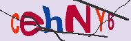 キャプチャ(CAPTCHA)認証コード