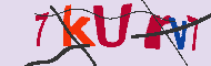 キャプチャ(CAPTCHA)認証コード