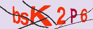 キャプチャ(CAPTCHA)認証コード