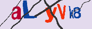 キャプチャ(CAPTCHA)認証コード