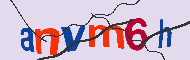 キャプチャ(CAPTCHA)認証コード