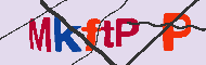 キャプチャ(CAPTCHA)認証コード