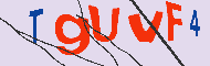 キャプチャ(CAPTCHA)認証コード